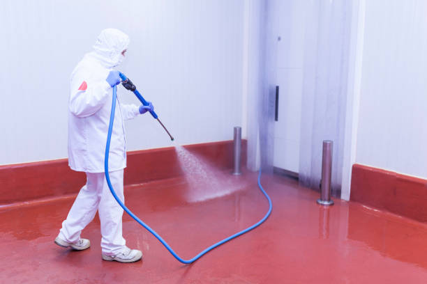 Best Soft Washing  in Riverdale, NJ