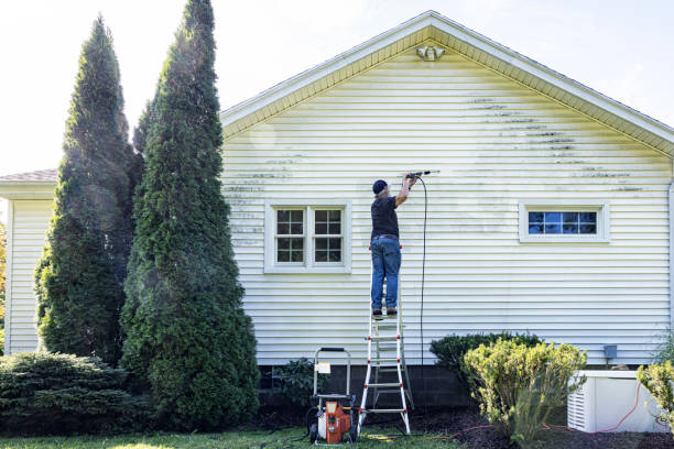 Best Solar Panel Cleaning  in Riverdale, NJ
